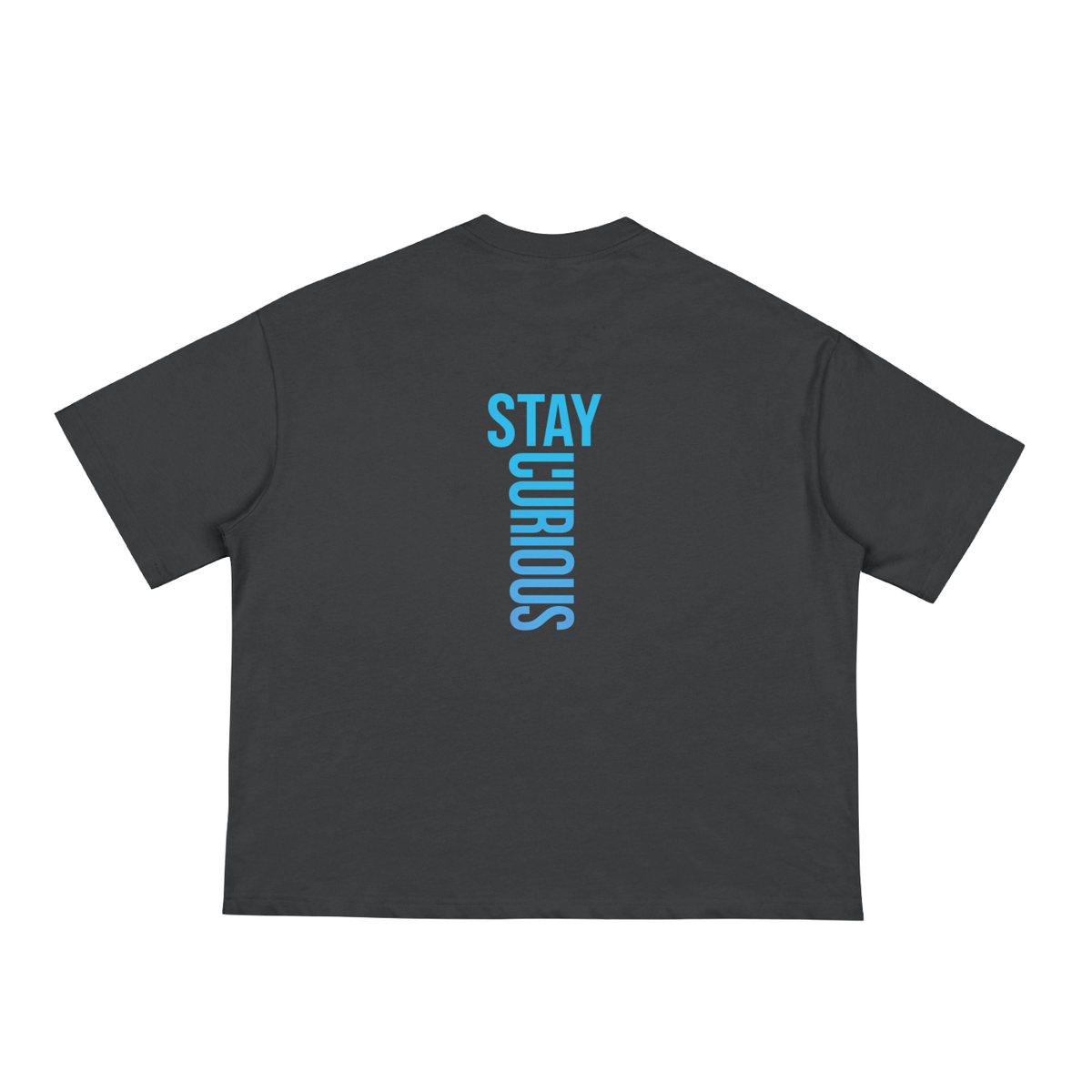 Black t-shirt with blue text 'STAY CURIOUS' on the back against a white background