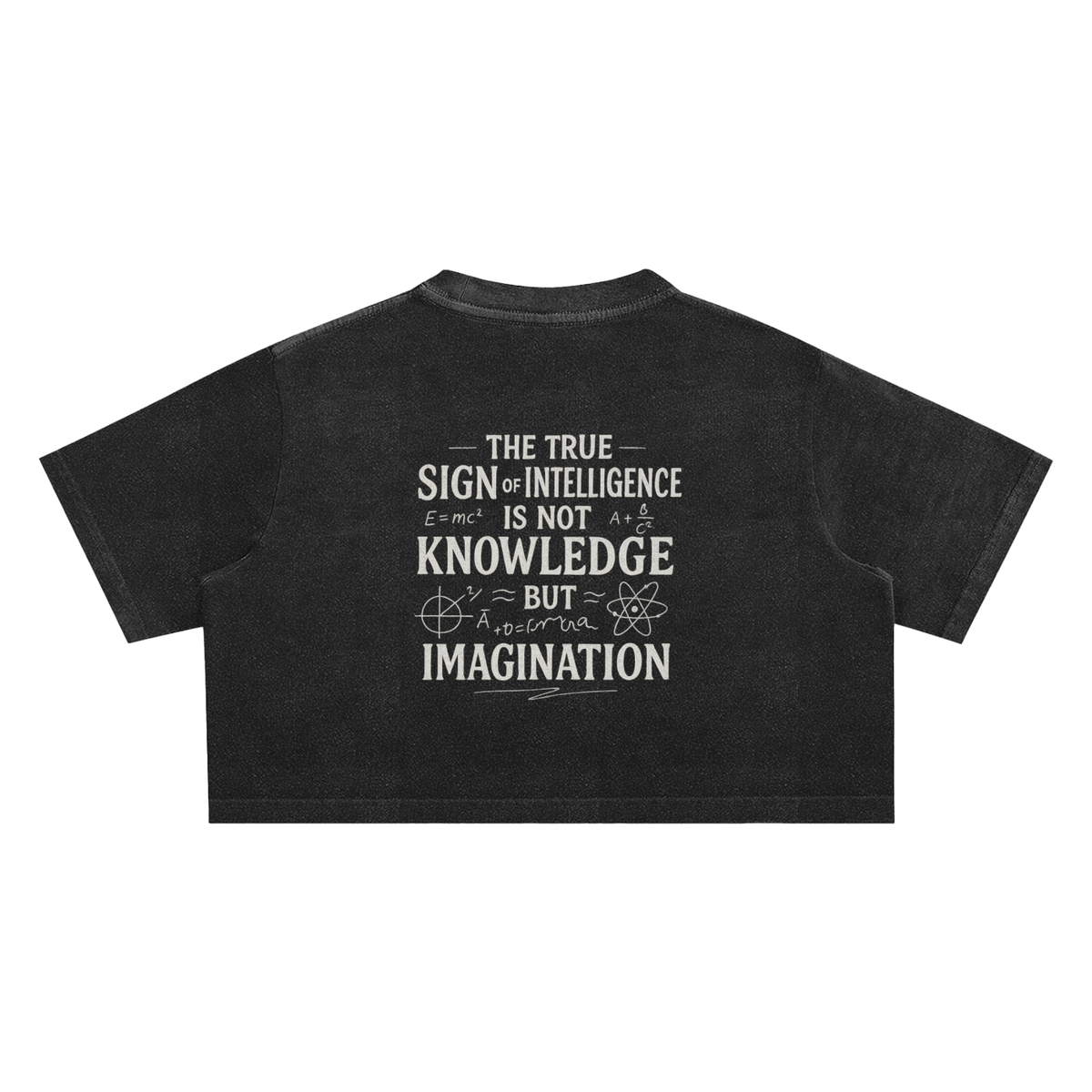 N.G.C. Archive Snow Washed Crop Top