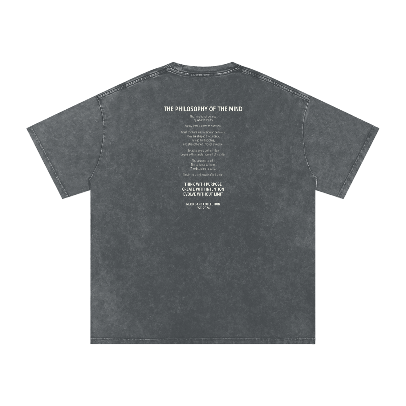 NGC Philosophy of the Mind Snow Washed Oversized Cotton T-Shirt