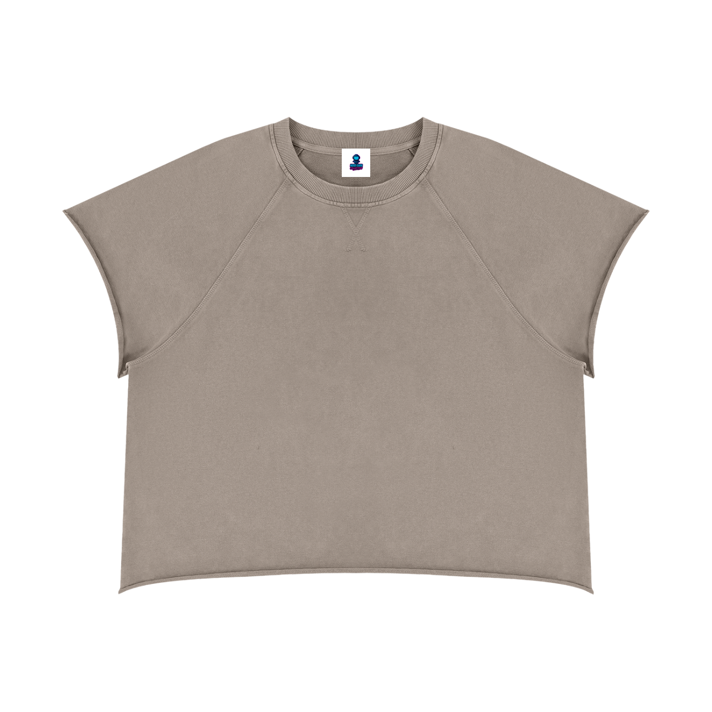 Vintage Wash Raw Edge Boxy Short Sleeve T-Shirt