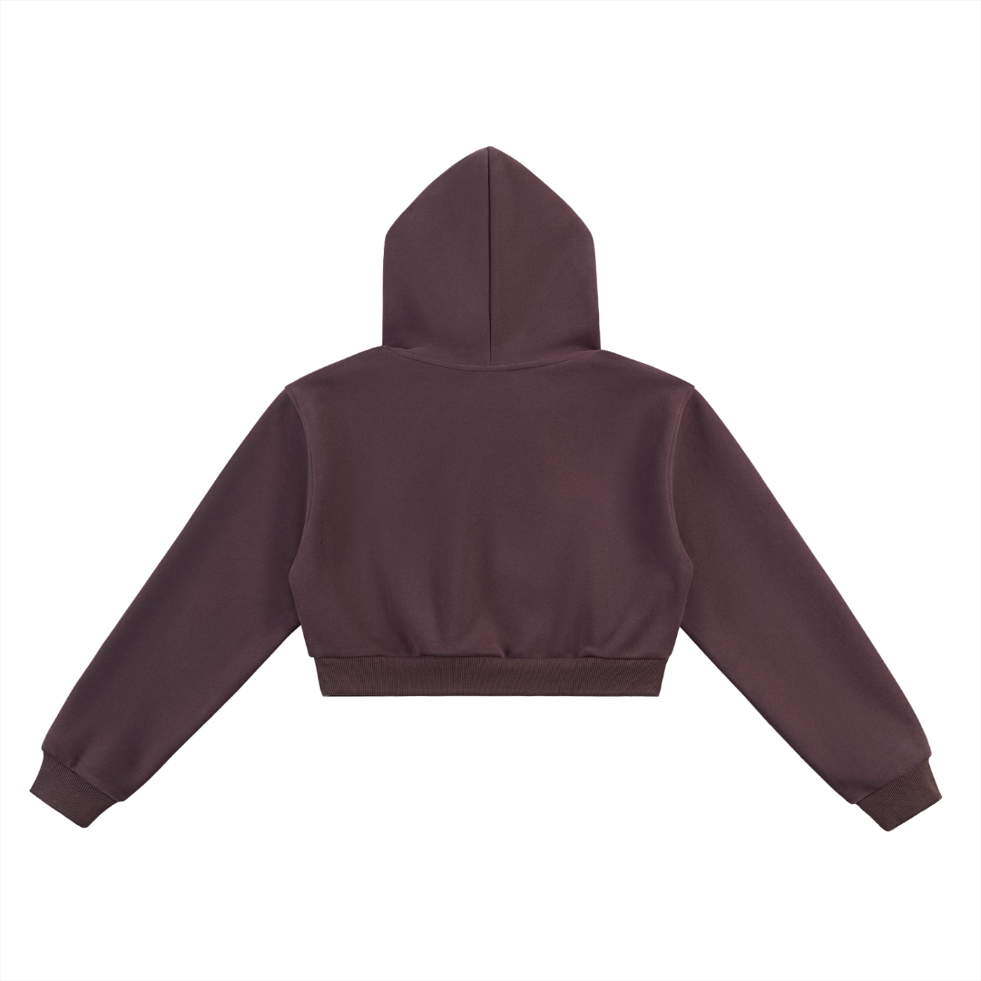 N.G.C. Archive Essential Cropped Hoodie