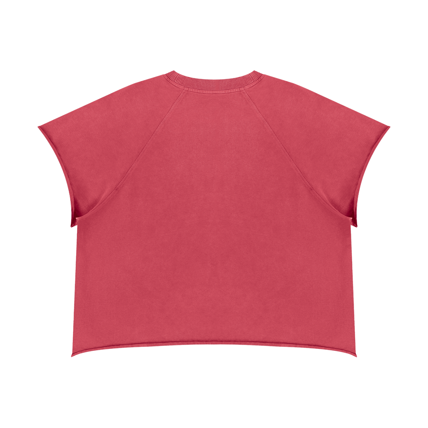 Vintage Wash Raw Edge Boxy Short Sleeve T-Shirt