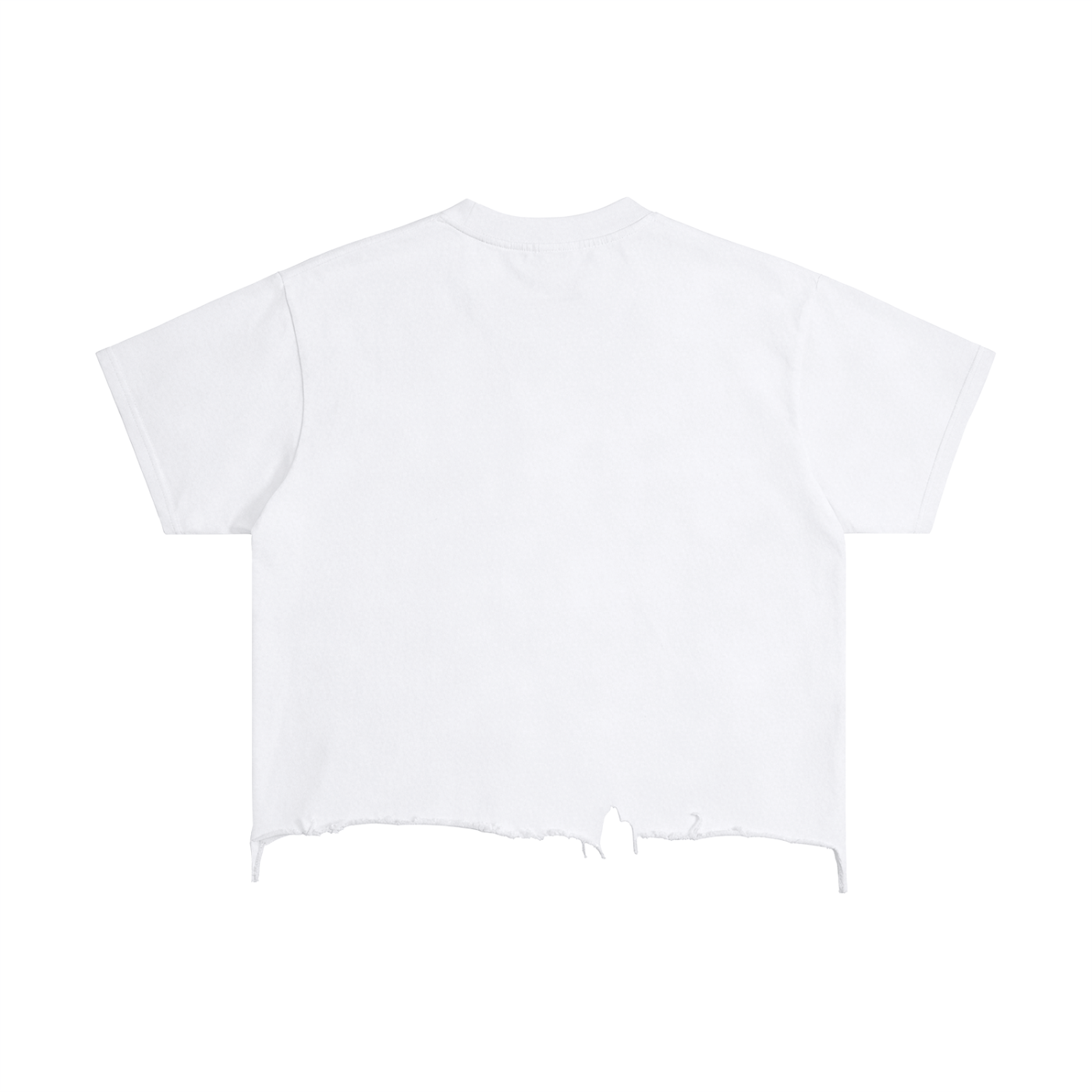 Vintage Wash Distressed Hem Boxy T-Shirt
