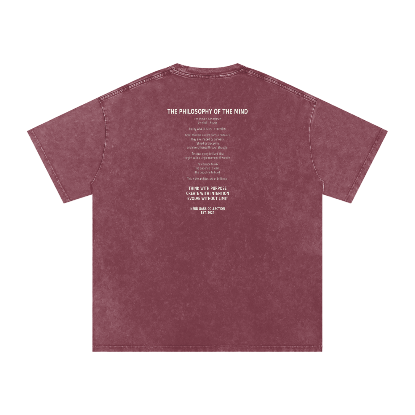 NGC Philosophy of the Mind Snow Washed Oversized Cotton T-Shirt