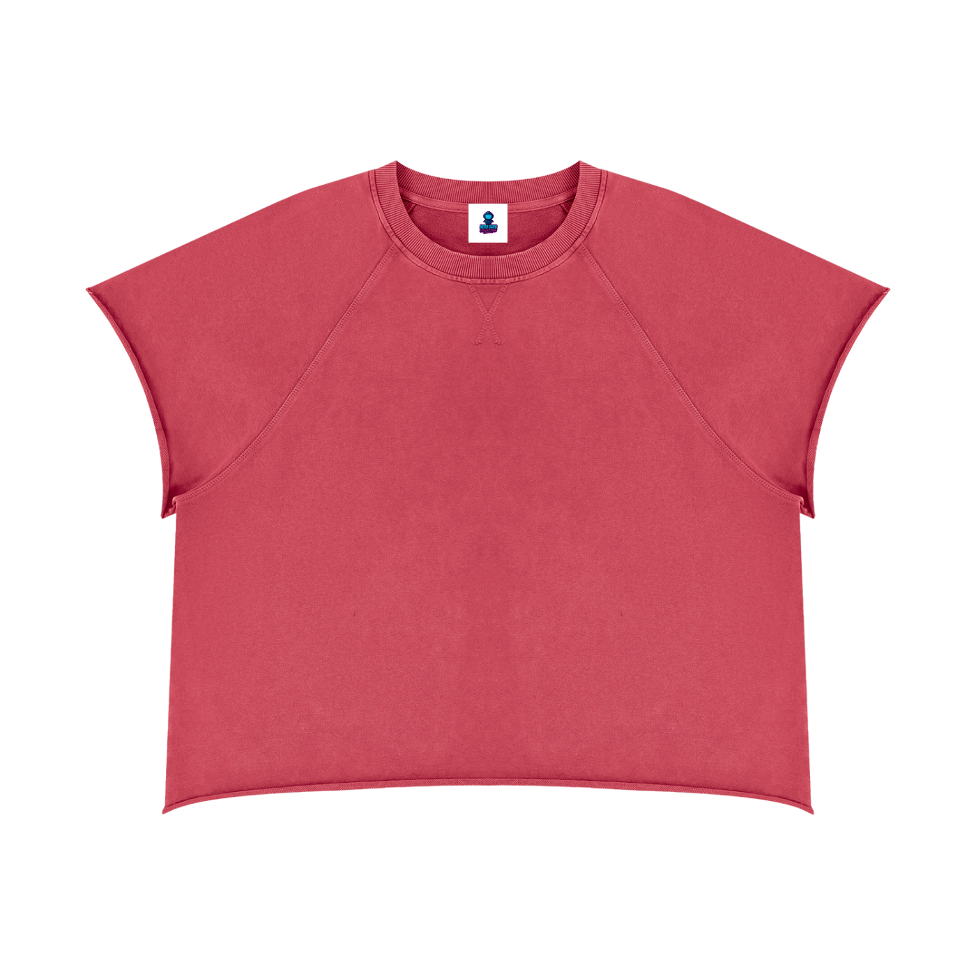 Vintage Wash Raw Edge Boxy Short Sleeve T-Shirt