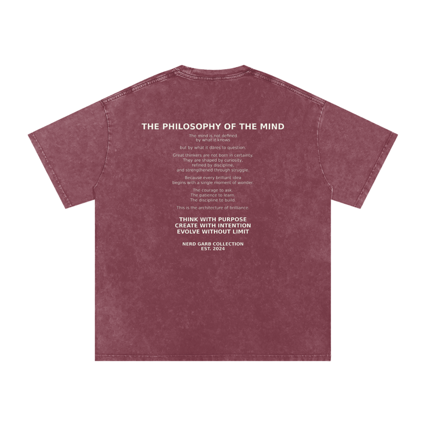 NGC Philosophy of the Mind Vintage Wash Tee