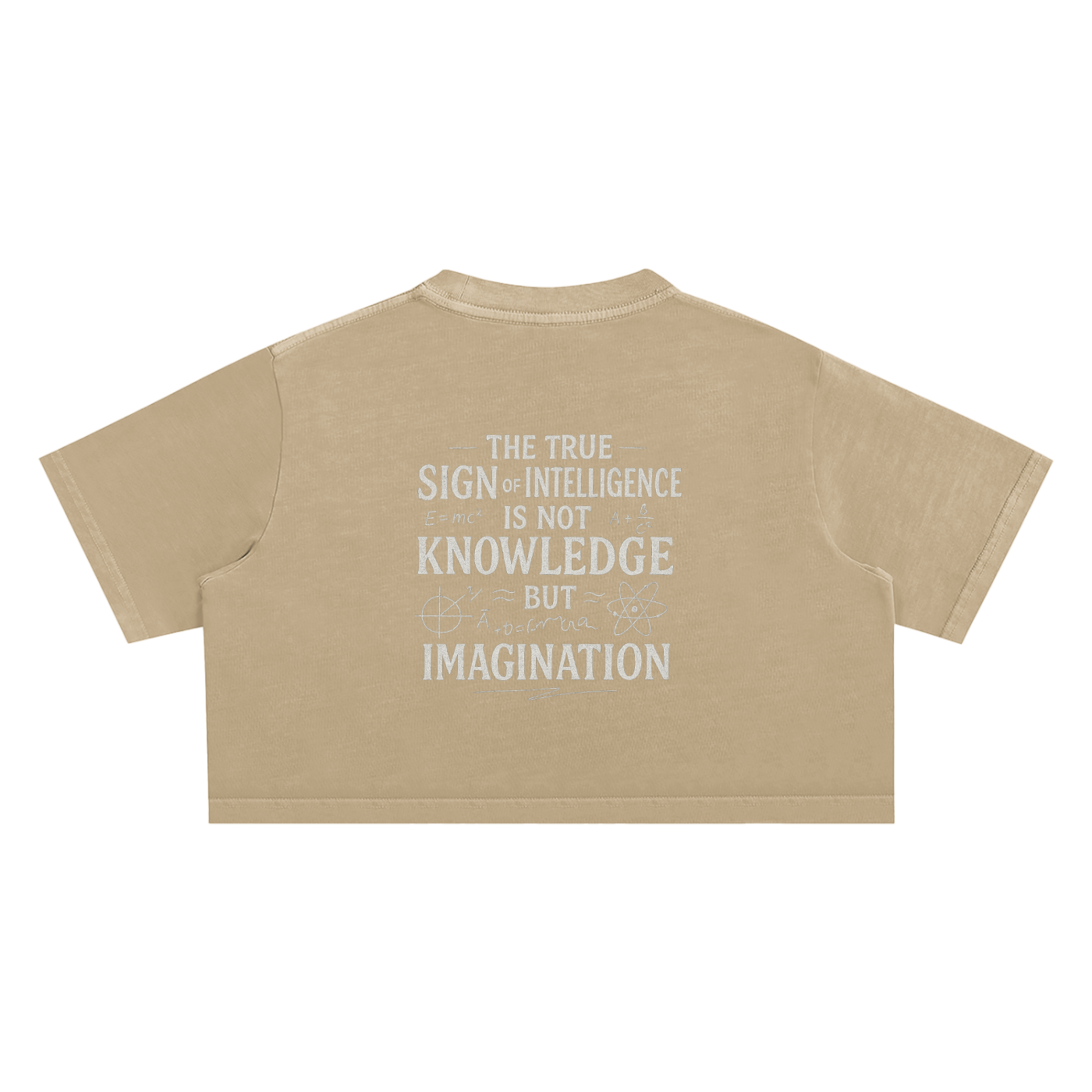 N.G.C. Archive Snow Washed Crop Top