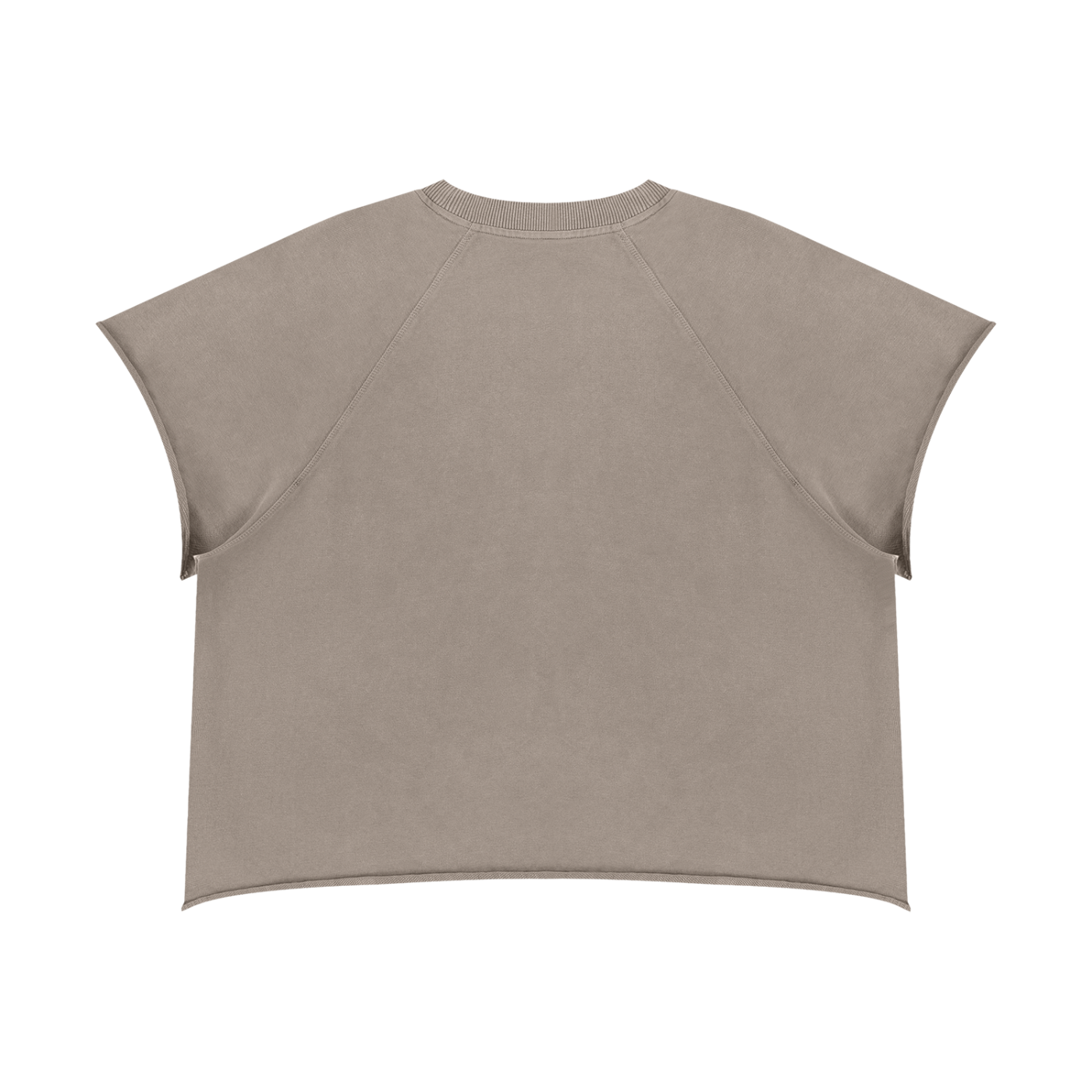 Vintage Wash Raw Edge Boxy Short Sleeve T-Shirt