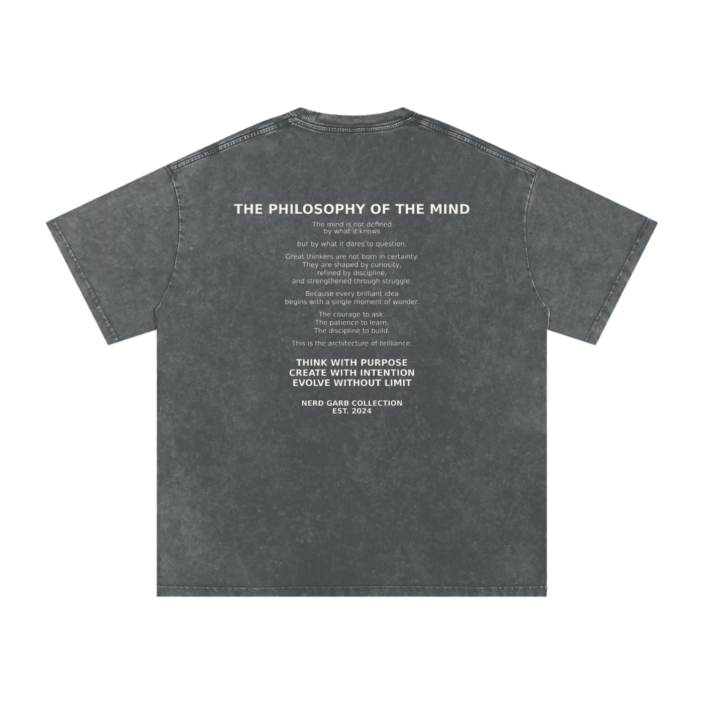 NGC Philosophy of the Mind Vintage Wash Tee