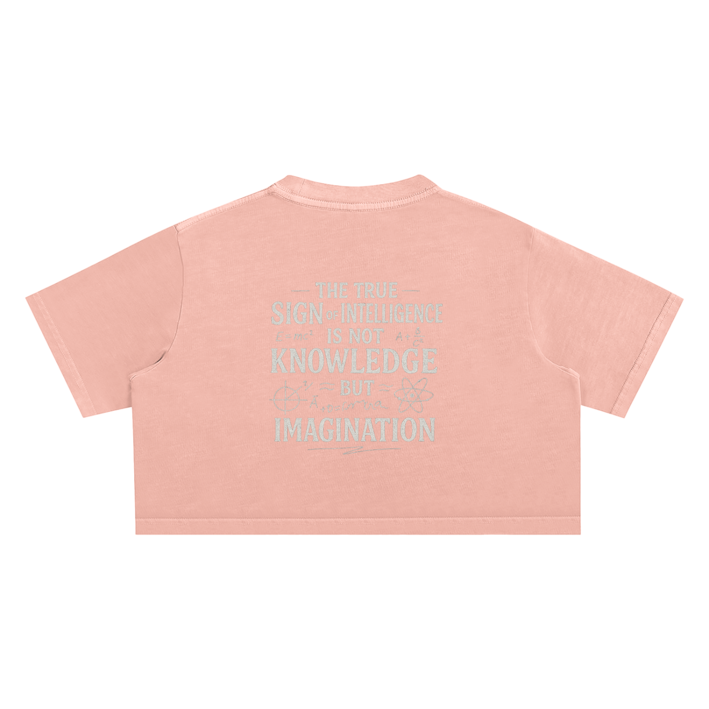 N.G.C. Archive Snow Washed Crop Top